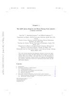 The QCD phase diagram and Beam Energy Scan physics: a theory overview