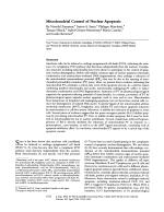 Mitochondrial Control of Nuclear Apoptosis