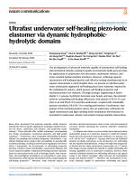 Ultrafast underwater self-healing piezo-ionic elastomer via dynamic hydrophobic-hydrolytic domains