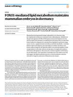 FOXO1-mediated lipid metabolism maintains mammalian embryos in dormancy
