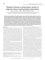 Obesity induces a phenotypic switch in adipose tissue macrophage polarization