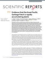 Evidence that the Great Pacific Garbage Patch is rapidly accumulating plastic