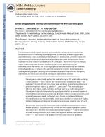 Emerging targets in neuroinflammation-driven chronic pain