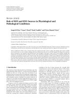 Role of ROS and RNS Sources in Physiological and Pathological Conditions