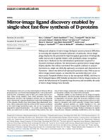 Mirror-image ligand discovery enabled by single-shot fast-flow synthesis of D-proteins