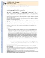 Autophagy regulates lipid metabolism