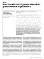 Selective utilization of glucose metabolism guides mammalian gastrulation