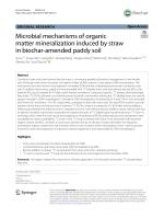 Microbial mechanisms of organic matter mineralization induced by straw in biochar-amended paddy soil