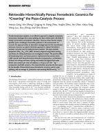 Retrievable Hierarchically Porous Ferroelectric Ceramics for "Greening" the Piezo-Catalysis Process