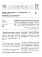 A review on green synthesis of zinc oxide nanoparticles – An eco-friendly approach