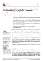 The Roles and Interactions of Porphyromonas gingivalis and Fusobacterium nucleatum in Oral and Gastrointestinal Carcinogenesis: A Narrative Review