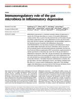 Immunoregulatory role of the gut microbiota in inflammatory depression