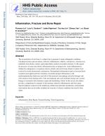 Inflammation, Fracture and Bone Repair