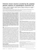 Extensive mosaic structure revealed by the complete genome sequence of uropathogenic Escherichia coli