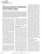 Interactions Between the Microbiota and the Immune System