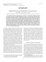 MINIREVIEW Updated Functional Classification of β-Lactamases