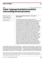 Vision-language foundation model for echocardiogram interpretation