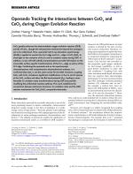 Operando Tracking the Interactions between CoOx and CeO2 during Oxygen Evolution Reaction