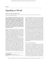 Signaling to NF-κB