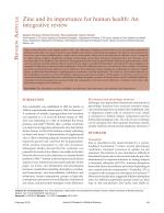 Zinc and its importance for human health: An integrative review