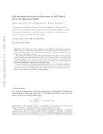 The Quantum Structure of Spacetime at the Planck Scale and Quantum Fields