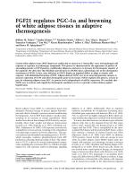 FGF21 regulates PGC-1α and browning of white adipose tissues in adaptive thermogenesis