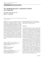 The endothelial glycocalyx: composition, functions, and visualization