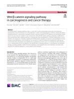 Wnt/β-catenin signaling pathway in carcinogenesis and cancer therapy