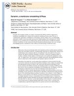 Dynamin, a membrane remodelling GTPase