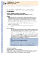 The Ras-ERK and PI3K-mTOR Pathways: Cross-talk and Compensation