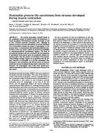 Dystrophin protects the sarcolemma from stresses developed during muscle contraction