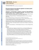 ER-stress-induced transcriptional regulation increases protein synthesis leading to cell death