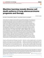 Machine learning reveals diverse cell death patterns in lung adenocarcinoma prognosis and therapy