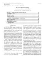 Hepatitis B Virus Biology