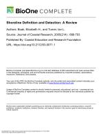 Shoreline Definition and Detection: A Review