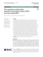 The regulatory relationship between transcription factor STAT3 and noncoding RNA