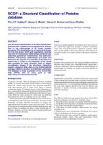 SCOP: a Structural Classification of Proteins database