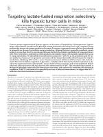 Targeting lactate-fueled respiration selectively kills hypoxic tumor cells in mice