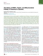 The Roles of PINK1, Parkin, and Mitochondrial Fidelity in Parkinson’s Disease