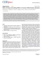 Roles of long noncoding RNAs in human inflammatory diseases