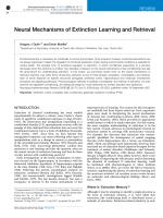 Neural Mechanisms of Extinction Learning and Retrieval