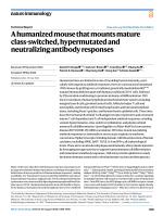 A humanized mouse that mounts mature class-switched, hypermutated and neutralizing antibody responses