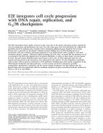 E2F integrates cell cycle progression with DNA repair, replication, and G2/M checkpoints