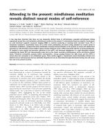 Attending to the present: mindfulness meditation reveals distinct neural modes of self-reference