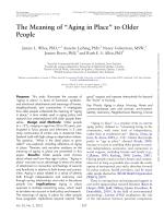 The Meaning of “Aging in Place” to Older People