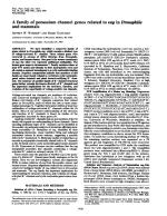 A family of potassium channel genes related to eag in Drosophila and mammals