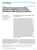 p300 nucleocytoplasmic shuttling underlies mTORC1 hyperactivation in Hutchinson–Gilford progeria syndrome