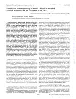 Functional Heterogeneity of Small Ubiquitin-related Protein Modifiers SUMO-1 versus SUMO-2/3