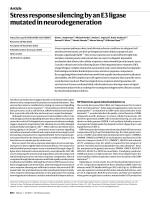 Stress response silencing by an E3 ligase mutated in neurodegeneration