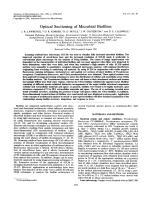 Optical Sectioning of Microbial Biofilms